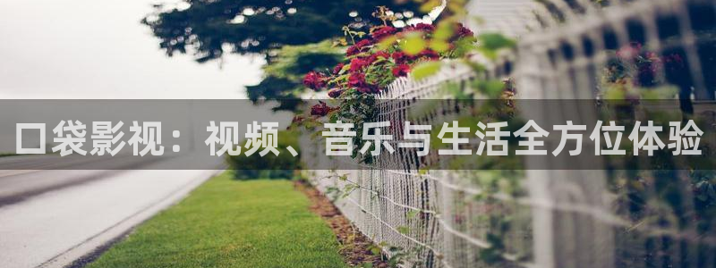 酷客影院舊版入口：口袋影視：視頻、音樂(lè)與生活全方位體驗(yàn)