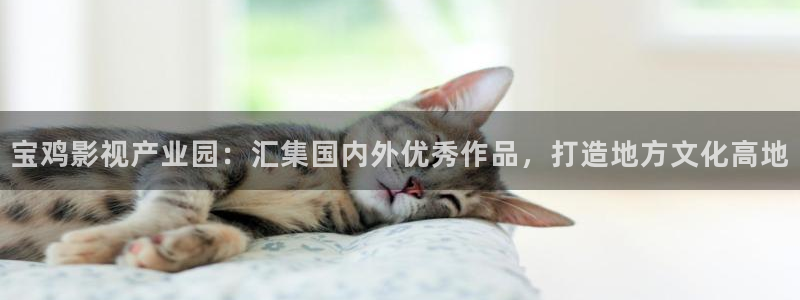 酷客影院善良的嫂子：寶雞影視產(chǎn)業(yè)園：匯集國(guó)內(nèi)外優(yōu)秀作品，打造地方文化高地